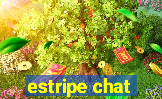 estripe chat